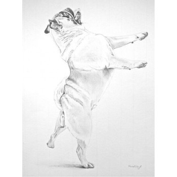 Dancing Pug Print by Meriel Burden