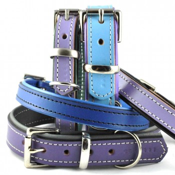 Padded Leather Buckle Collars