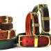 Padded Leather Buckle Collars