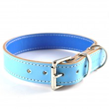 Classic Leather Buckle Collars