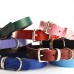 Classic Leather Buckle Collars