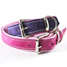 All Our Dog Collars & Leads