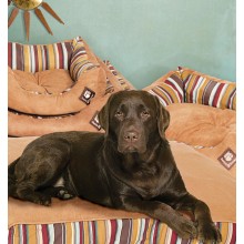 Box Duvet Dog Bed - Morocco 