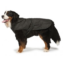 2-in-1 Harness Dog Coat 