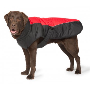 Sports Luxe Dog Coat 