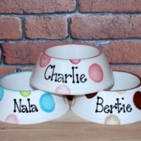 Personalised Ceramic Slanted Dotty Dog Bowls